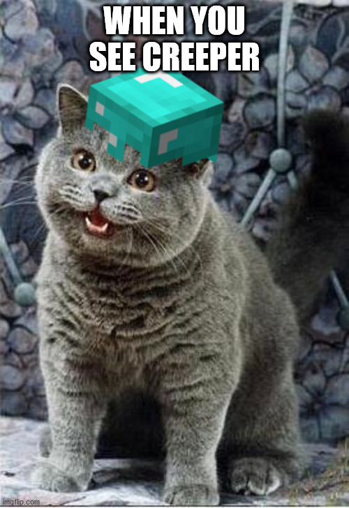 WHEN YOU SEE CREEPER | WHEN YOU SEE CREEPER | image tagged in i can has cheezburger cat,creeper,creeper aw man,memes,funny,minecraft | made w/ Imgflip meme maker