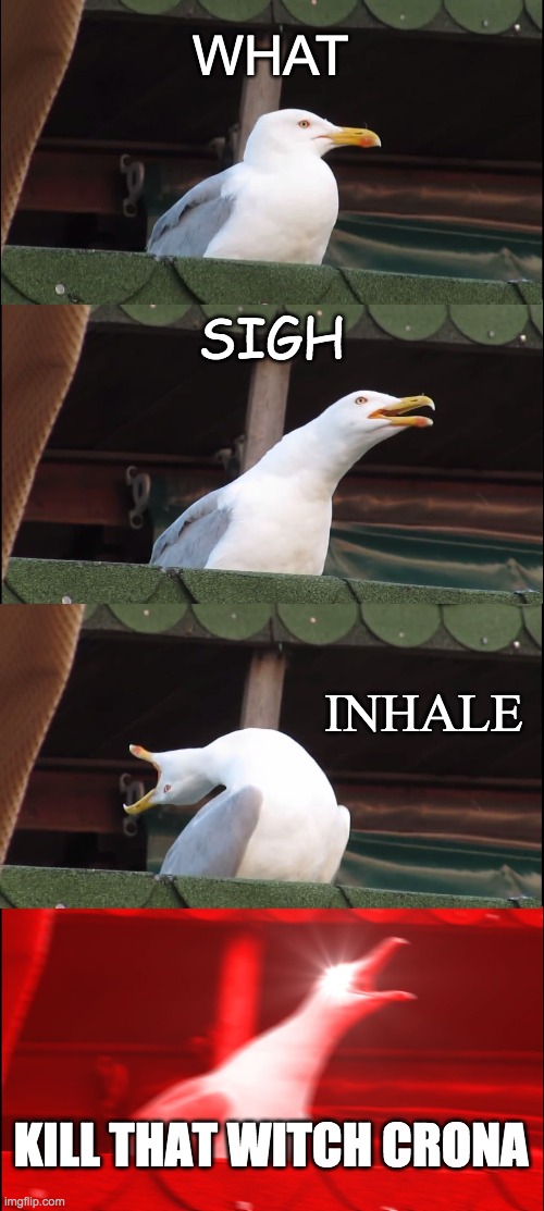 bruh | WHAT; SIGH; INHALE; KILL THAT WITCH CRONA | image tagged in memes,inhaling seagull | made w/ Imgflip meme maker