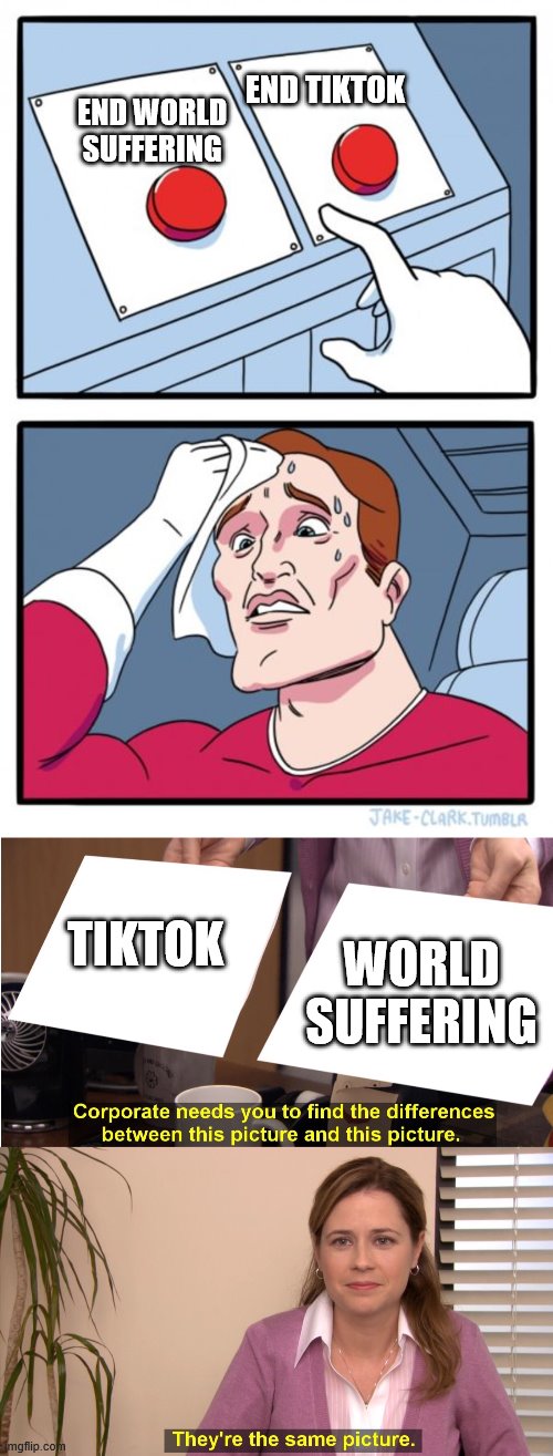 Doesn't matter which one you pick | END TIKTOK; END WORLD SUFFERING; TIKTOK; WORLD SUFFERING | image tagged in memes,two buttons,they're the same picture | made w/ Imgflip meme maker