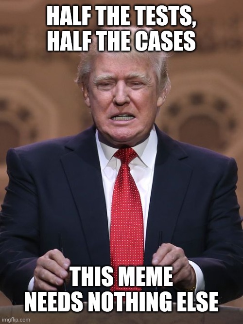 Dumb, stupid or moronic? | HALF THE TESTS, HALF THE CASES; THIS MEME NEEDS NOTHING ELSE | image tagged in donald trump,trump,covid19,coronavirus,mental giant,republican party | made w/ Imgflip meme maker