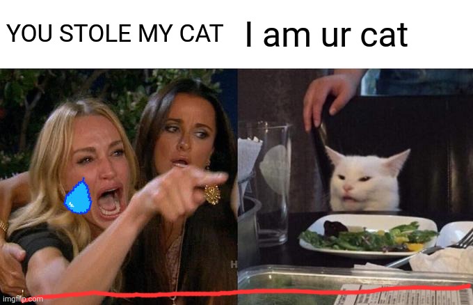 WTF I am your cat | YOU STOLE MY CAT; I am ur cat | image tagged in memes,woman yelling at cat | made w/ Imgflip meme maker