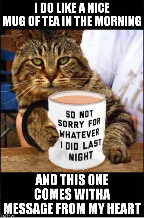 Tea Cats Message | I DO LIKE A NICE MUG OF TEA IN THE MORNING; AND THIS ONE COMES WITHA MESSAGE FROM MY HEART | image tagged in cats,tea,mug | made w/ Imgflip meme maker