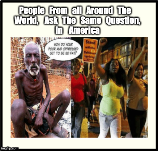 Poor Oppressed | People   From   all   Around   The   
World,    Ask   The   Same   Question,
In    America | image tagged in poor people,hungry,starving,america | made w/ Imgflip meme maker