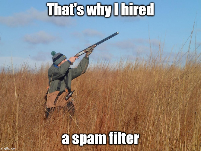 That's why I hired a spam filter | made w/ Imgflip meme maker