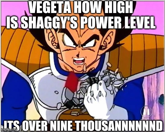 Vegeta over 9000 | VEGETA HOW HIGH IS SHAGGY'S POWER LEVEL; ITS OVER NINE THOUSANNNNNND | image tagged in vegeta over 9000 | made w/ Imgflip meme maker