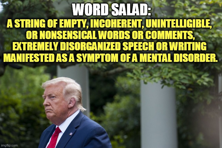 Even Republicans can't follow his ramblings. | WORD SALAD:; A STRING OF EMPTY, INCOHERENT, UNINTELLIGIBLE, 
OR NONSENSICAL WORDS OR COMMENTS,
EXTREMELY DISORGANIZED SPEECH OR WRITING 
MANIFESTED AS A SYMPTOM OF A MENTAL DISORDER. | image tagged in trump,word,salad,empty,mental illness,drug addiction | made w/ Imgflip meme maker