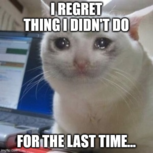 sad ending | I REGRET THING I DIDN'T DO; FOR THE LAST TIME... | image tagged in crying cat,meme,memes,funny,life,regret | made w/ Imgflip meme maker