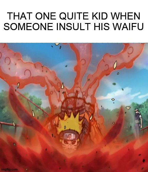 dont insult other's waifu | THAT ONE QUITE KID WHEN SOMEONE INSULT HIS WAIFU | image tagged in anime,naruto,waifu | made w/ Imgflip meme maker