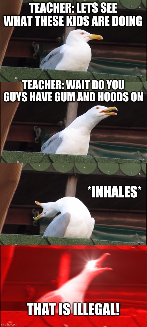 Wait thats illegal | TEACHER: LETS SEE WHAT THESE KIDS ARE DOING; TEACHER: WAIT DO YOU GUYS HAVE GUM AND HOODS ON; *INHALES*; THAT IS ILLEGAL! | image tagged in memes,inhaling seagull,wait thats illegal | made w/ Imgflip meme maker