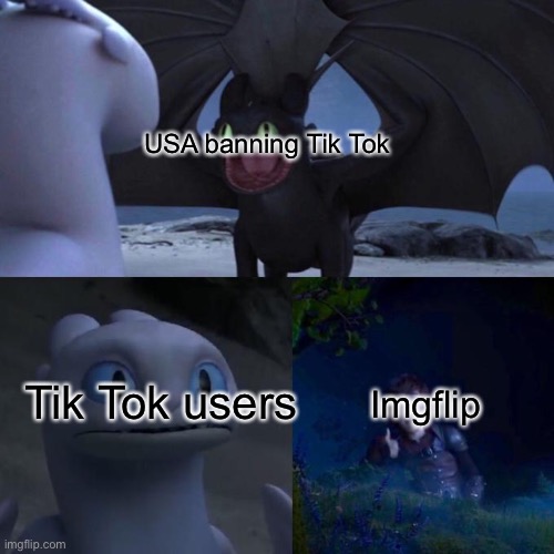 Ban Tik Tok | USA banning Tik Tok; Imgflip; Tik Tok users | image tagged in toothless presents himself | made w/ Imgflip meme maker