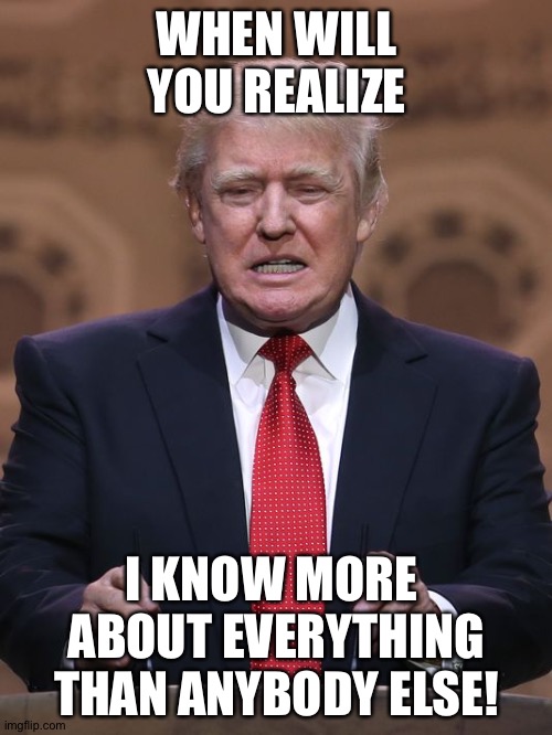 Donald Trump | WHEN WILL YOU REALIZE I KNOW MORE 
ABOUT EVERYTHING
THAN ANYBODY ELSE! | image tagged in donald trump | made w/ Imgflip meme maker