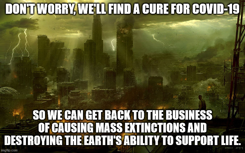 destructive ways | DON'T WORRY, WE'LL FIND A CURE FOR COVID-19; SO WE CAN GET BACK TO THE BUSINESS OF CAUSING MASS EXTINCTIONS AND DESTROYING THE EARTH'S ABILITY TO SUPPORT LIFE. | image tagged in world destruction,mass extinction,climate change,pollution | made w/ Imgflip meme maker