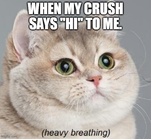 Heavy Breathing Cat Meme | WHEN MY CRUSH SAYS ''HI'' TO ME. | image tagged in memes,heavy breathing cat | made w/ Imgflip meme maker