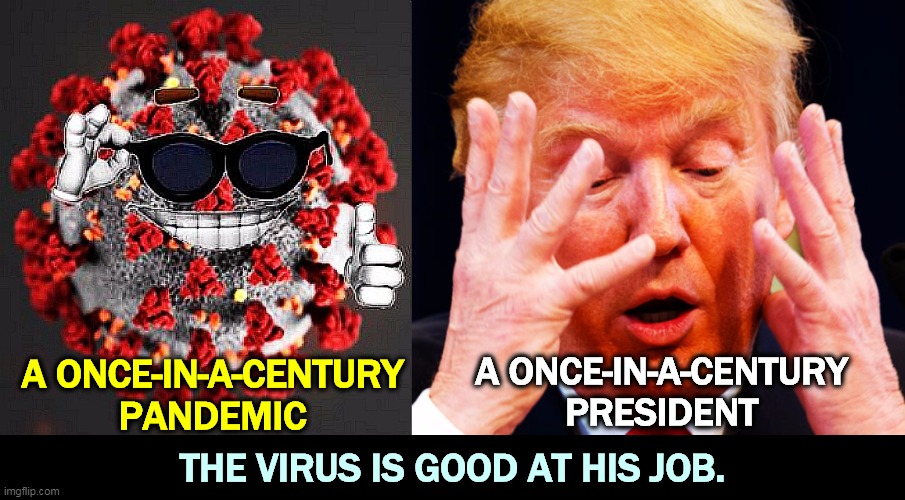 One of them knows what he's doing. | A ONCE-IN-A-CENTURY PANDEMIC; A ONCE-IN-A-CENTURY PRESIDENT; THE VIRUS IS GOOD AT HIS JOB. | image tagged in pandemic,covid-19,coronavirus,trump,incompetence,fear | made w/ Imgflip meme maker