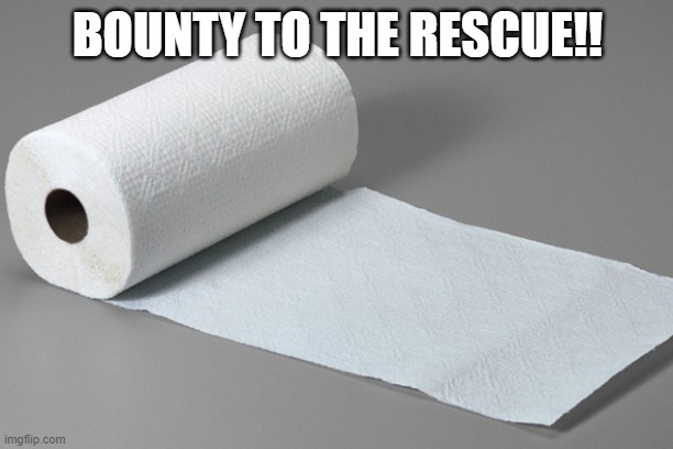 BOUNTY TO THE RESCUE!! | image tagged in paper towel | made w/ Imgflip meme maker