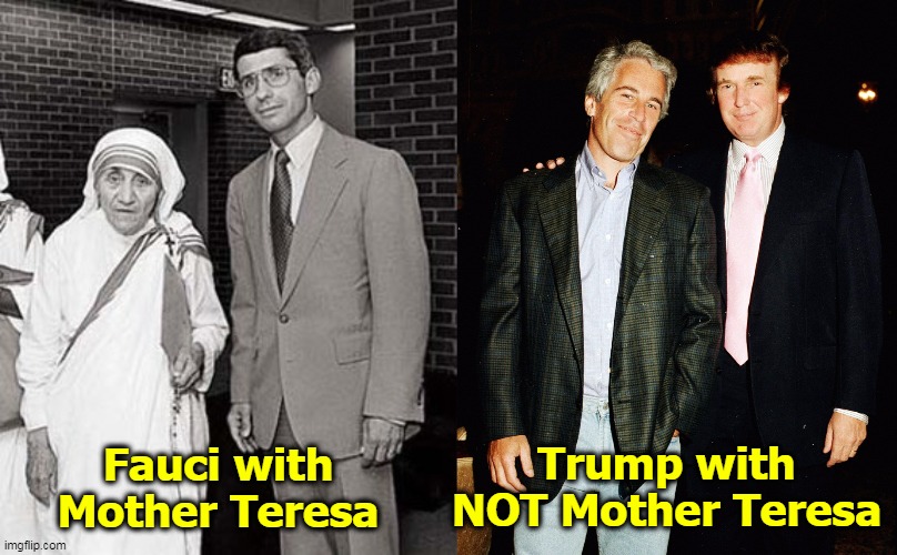 Trump with NOT Mother Teresa; Fauci with Mother Teresa | image tagged in doctor,good,trump,sexual assault,jeffrey epstein,bad | made w/ Imgflip meme maker