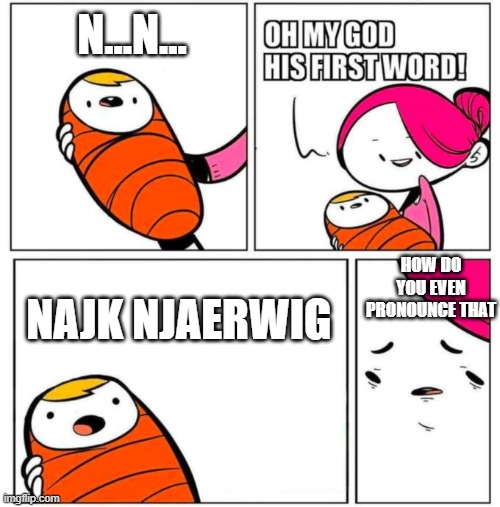 If anyone knows how to pronounce this, tell me in the comments! | N...N... HOW DO YOU EVEN PRONOUNCE THAT; NAJK NJAERWIG | image tagged in omg his first word | made w/ Imgflip meme maker