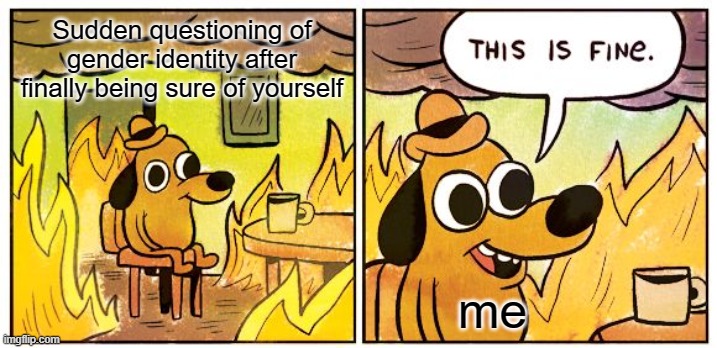 This is fine | Sudden questioning of gender identity after finally being sure of yourself; me | image tagged in memes,this is fine | made w/ Imgflip meme maker