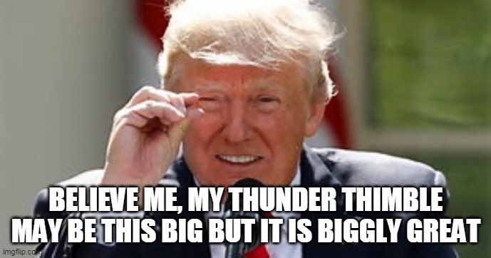 Thunder Thimble | BELIEVE ME, MY THUNDER THIMBLE MAY BE THIS BIG BUT IT IS BIGGLY GREAT | image tagged in little peen,donald trump,trump,biggly | made w/ Imgflip meme maker