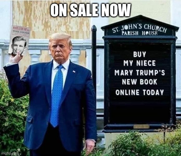 Too Much and Never Enough: How My Family Created the World’s Most Dangerous Man | ON SALE NOW | image tagged in donald trump,sociopath,con man,trump supporters,morons for trump,mary trump | made w/ Imgflip meme maker