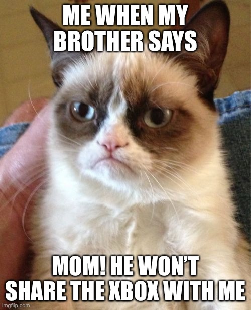 Grumpy Cat | ME WHEN MY BROTHER SAYS; MOM! HE WON’T SHARE THE XBOX WITH ME | image tagged in memes,grumpy cat | made w/ Imgflip meme maker