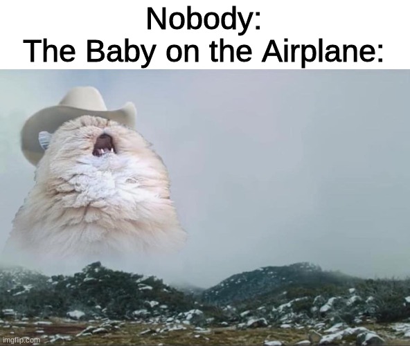 Screaming Cowboy Cat |  Nobody:
The Baby on the Airplane: | image tagged in screaming cowboy cat,memes,funny | made w/ Imgflip meme maker