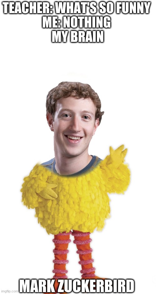 Big Bird + the Zucc= | TEACHER: WHAT'S SO FUNNY 
ME: NOTHING 
MY BRAIN; MARK ZUCKERBIRD | image tagged in funny,memes,mark zuckerberg,big bird | made w/ Imgflip meme maker