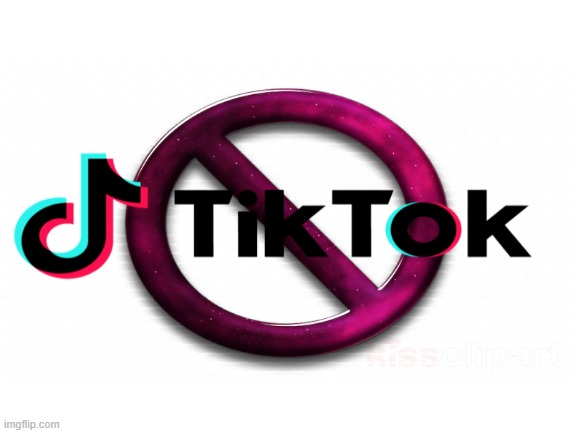 Anti TikTok Flag 2.0 | image tagged in anti tiktok,tiktok,memes | made w/ Imgflip meme maker
