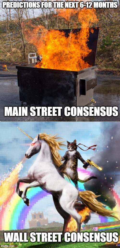 Same planet, different worlds | PREDICTIONS FOR THE NEXT 6-12 MONTHS; MAIN STREET CONSENSUS; WALL STREET CONSENSUS | image tagged in memes,welcome to the internets,dumpster fire | made w/ Imgflip meme maker