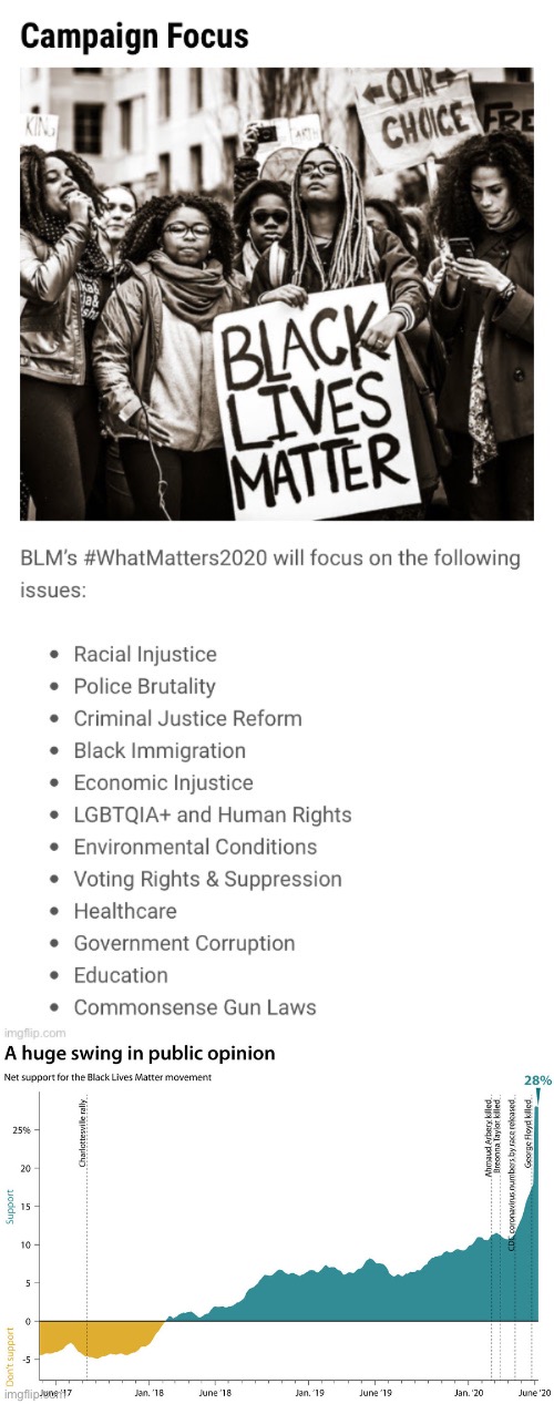 Next time someone labels Black Lives Matter a “Marxist” or “Terrorist” group, just show them one or both of these. | image tagged in black lives matter public support,black lives matter priorities,black lives matter,blacklivesmatter,blm,conservative logic | made w/ Imgflip meme maker