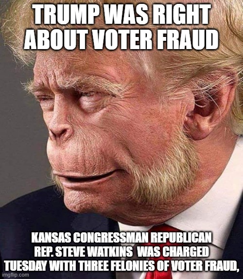 Planet of the Trumps | TRUMP WAS RIGHT ABOUT VOTER FRAUD; KANSAS CONGRESSMAN REPUBLICAN REP. STEVE WATKINS  WAS CHARGED TUESDAY WITH THREE FELONIES OF VOTER FRAUD, | image tagged in planet of the trumps | made w/ Imgflip meme maker