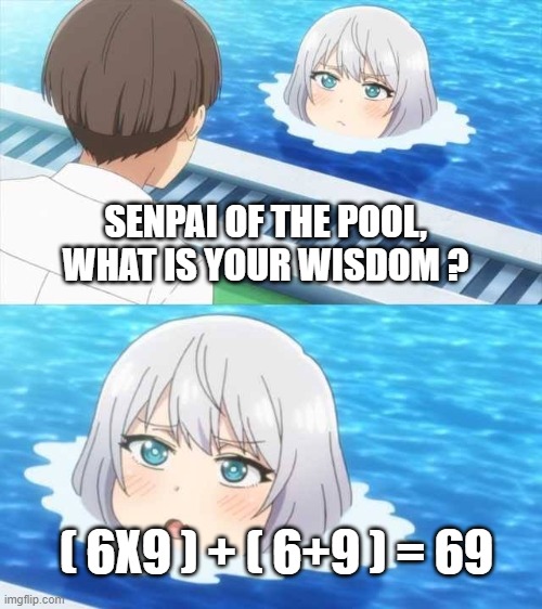 Senpai Of The Pool | SENPAI OF THE POOL, WHAT IS YOUR WISDOM ? ( 6X9 ) + ( 6+9 ) = 69 | image tagged in senpai of the pool | made w/ Imgflip meme maker