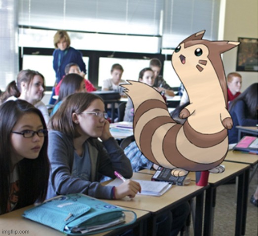 Furret goes to middle school | image tagged in furret,middleschool | made w/ Imgflip meme maker