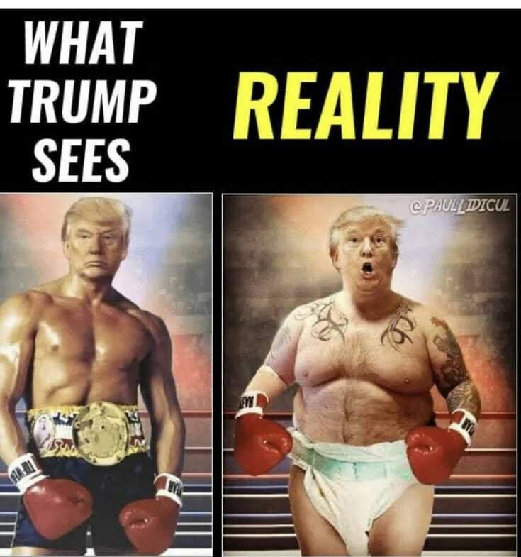 Trump vs Reality Blank Meme Template