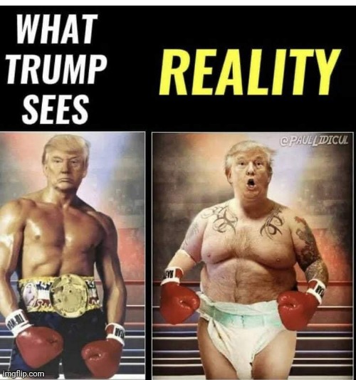 Trump vs Reality | image tagged in trump vs reality | made w/ Imgflip meme maker