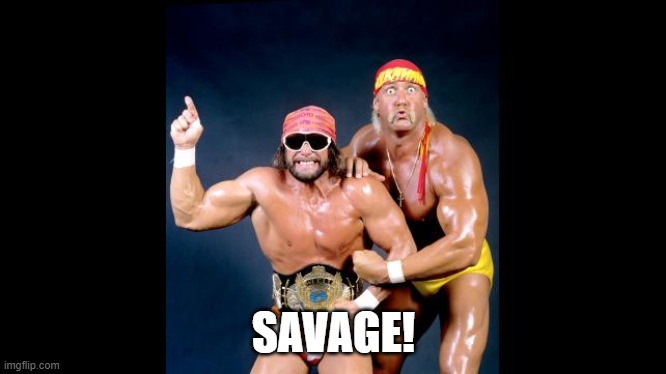 hulk hogan & macho man randy savage excited | SAVAGE! | image tagged in hulk hogan  macho man randy savage excited | made w/ Imgflip meme maker