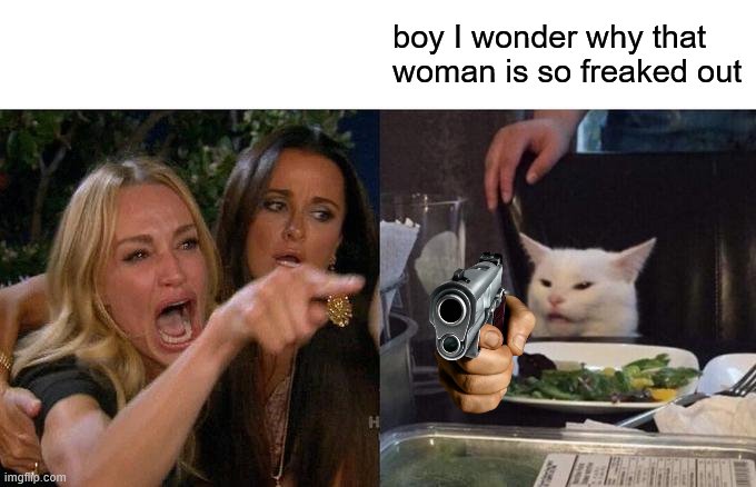 Woman Yelling At Cat | boy I wonder why that woman is so freaked out | image tagged in memes,woman yelling at cat | made w/ Imgflip meme maker