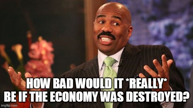 Seriously | HOW BAD WOULD IT *REALLY* BE IF THE ECONOMY WAS DESTROYED? | image tagged in memes,steve harvey,economy,how bad,how bad would it really be,destroyed | made w/ Imgflip meme maker