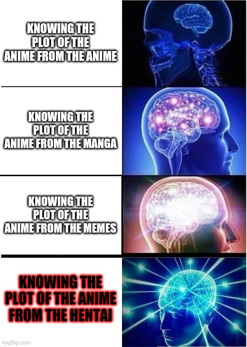Can anyone relate? | KNOWING THE PLOT OF THE ANIME FROM THE ANIME; KNOWING THE PLOT OF THE ANIME FROM THE MANGA; KNOWING THE PLOT OF THE ANIME FROM THE MEMES; KNOWING THE PLOT OF THE ANIME FROM THE HENTAI | image tagged in memes,expanding brain | made w/ Imgflip meme maker