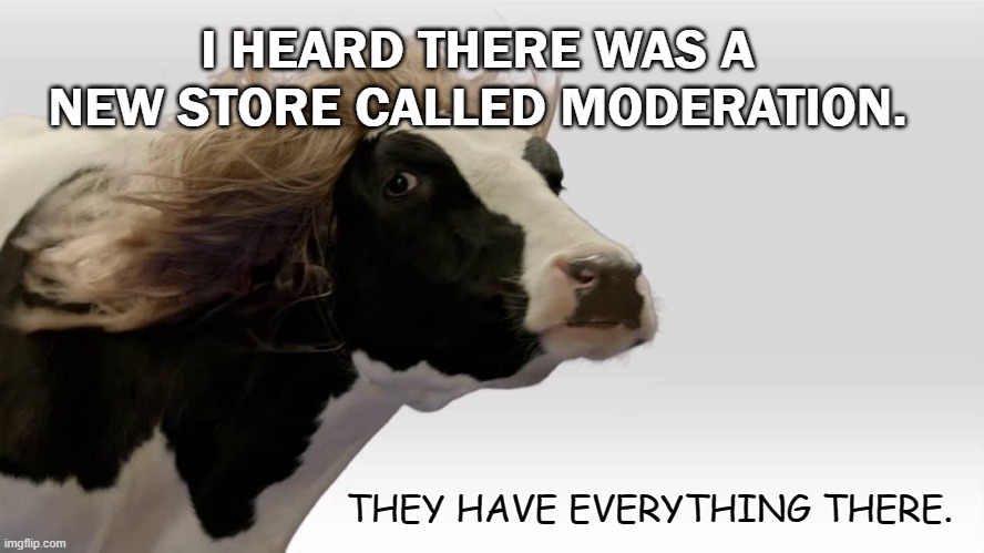 Daily Bad Dad Joke 07/15/2020 | I HEARD THERE WAS A NEW STORE CALLED MODERATION. THEY HAVE EVERYTHING THERE. | image tagged in fabio cow | made w/ Imgflip meme maker