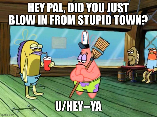 Image ged In Did You Just Blow In From Stupid Town Imgflip