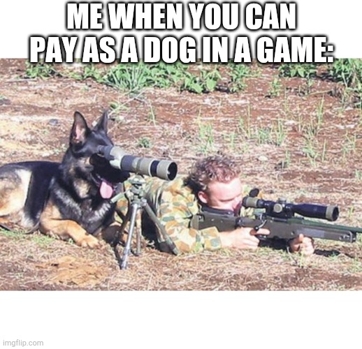 Sniper dog | ME WHEN YOU CAN PAY AS A DOG IN A GAME: | image tagged in sniper dog,gaming,doggo,funny,memes | made w/ Imgflip meme maker