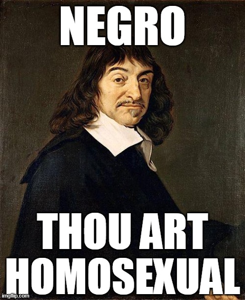 Rene Descartes | NEGRO; THOU ART HOMOSEXUAL | image tagged in rene descartes,negro,homosexual | made w/ Imgflip meme maker