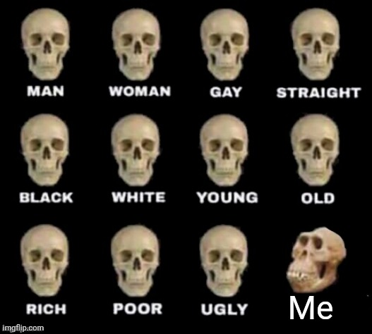 idiot skull | Me | image tagged in idiot skull | made w/ Imgflip meme maker