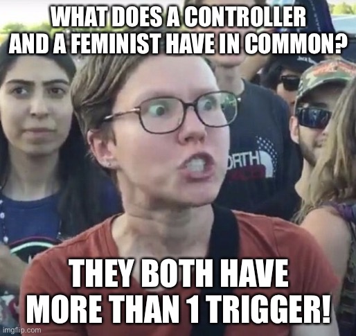 I’m sorry. Lord forgive me. | WHAT DOES A CONTROLLER AND A FEMINIST HAVE IN COMMON? THEY BOTH HAVE MORE THAN 1 TRIGGER! | image tagged in triggered feminist | made w/ Imgflip meme maker