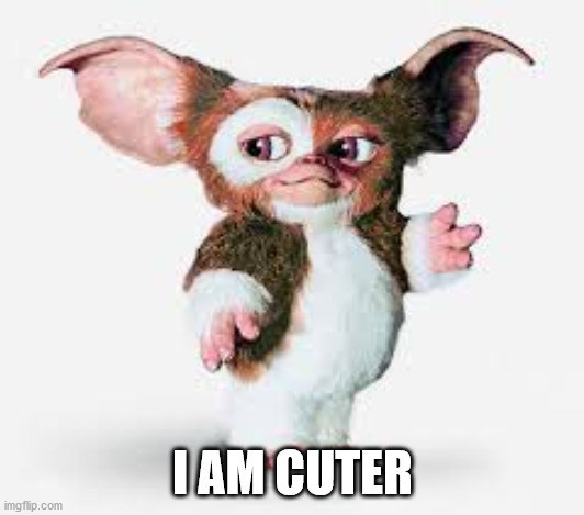 Gizmo | I AM CUTER | image tagged in gizmo | made w/ Imgflip meme maker