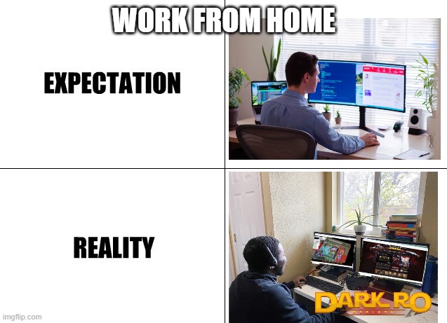 WFH | WORK FROM HOME | image tagged in expectation vs reality | made w/ Imgflip meme maker