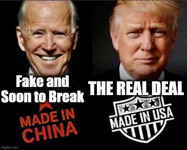 Choose Wisely~~America's Future is at Stake! | Fake and Soon to Break; THE REAL DEAL | image tagged in politics,political meme,joe biden,donald trump,donald trump approves,liberal vs conservative | made w/ Imgflip meme maker