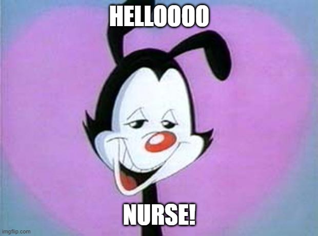 Yakko Hello Nurse | HELLOOOO NURSE! | image tagged in yakko hello nurse | made w/ Imgflip meme maker