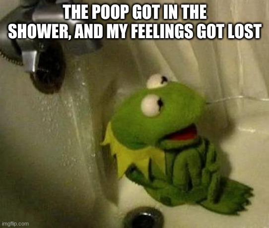 Kermit on Shower | THE POOP GOT IN THE SHOWER, AND MY FEELINGS GOT LOST | image tagged in kermit on shower | made w/ Imgflip meme maker